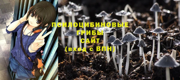 таблы Лиски